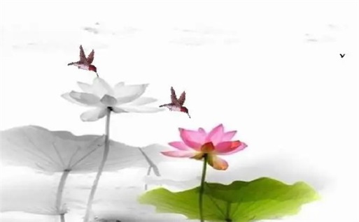 农历二〇二七年正月十一黄历远行不适宜吗,出行吉日查询