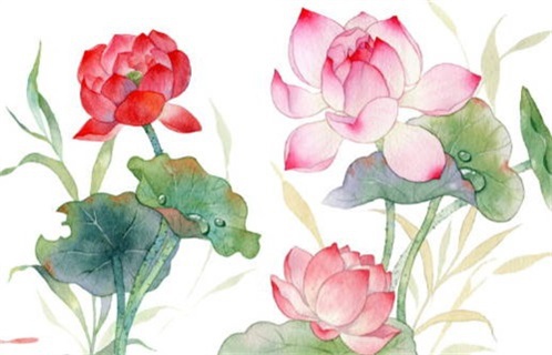 2027年11月16日出行黄历查询 2027年11月16日出行黄历查询