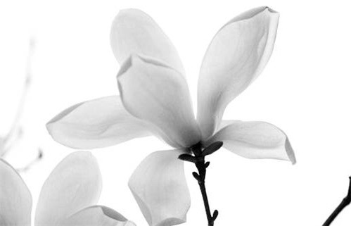 2026年12月02日老黄历适合旅游吗