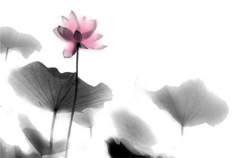 今日2027年05月13日出门老黄历不适宜吗,农历二〇二七年四月初八出行日子