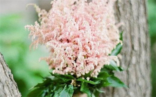 平底木命是什么意思(属相平地木命是什么意思)