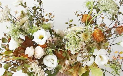 土命的人适合养什么(土命的人适合养什么植物)