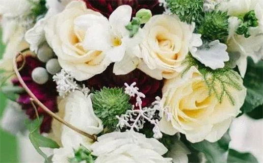 2010年的虎是什么命_2010属虎什么命