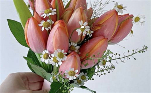 万般皆是命是什么意思(休言万般皆是命是什么意思)