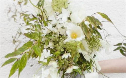 生肖鼠可以用懿吗(属鼠可以用奕字吗)