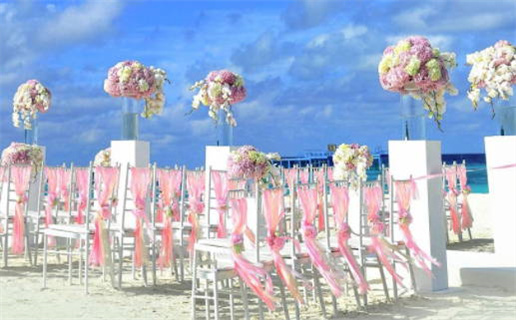 猪年生人属鼠的命运_猪年生人属鼠的命运如何