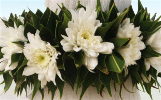 2022年出生宝宝命运解析揭秘和运势指南