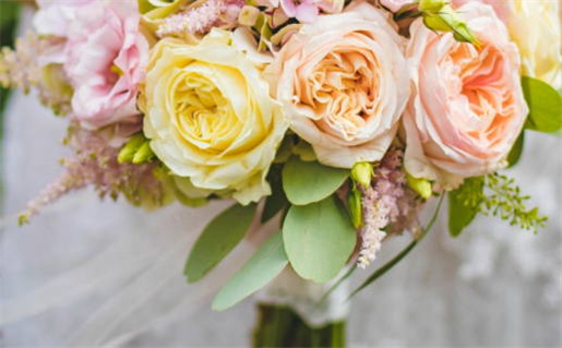 1991年5月出生的人命运解析与性格特点