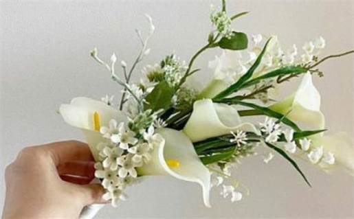 2024年出生是什么命_2024年出生是什么命五行属性