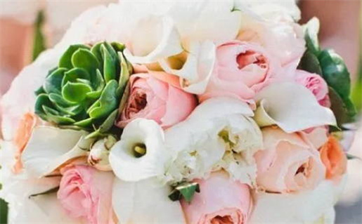 2010出生的属虎的人是什么命(2010属虎中考运好不好)