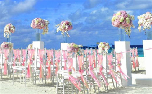 2006年属狗命理解析属狗人的性格与运势