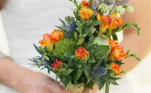 赟的读音_赟的读音和含义