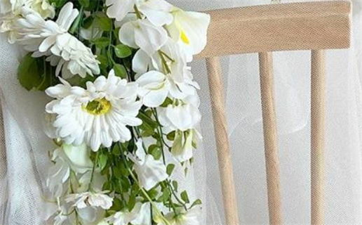 2008是什么命年(2008年是什么命年)