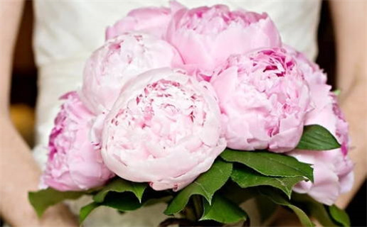 四月份黄道吉日推荐为您带来好运选择最佳日子