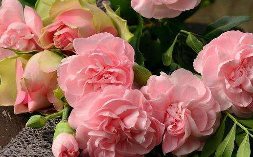 1966年是什么命年_1966年到底是什么命