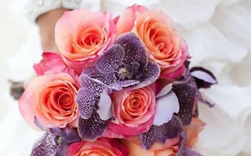 83年的猪是什么命(83年的猪是什么命 五行属什么)