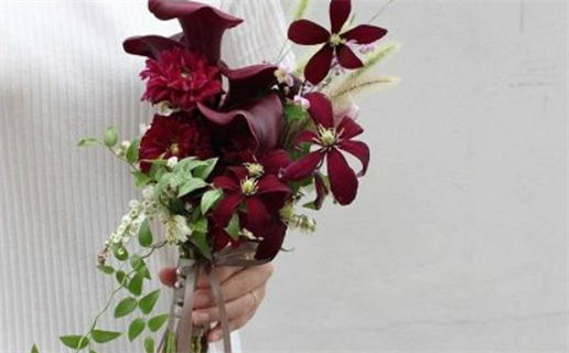 2020年鼠年是什么命_2020年鼠年是什么命五行属什么