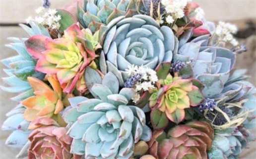 射手座撒谎能力解析真实还是虚假