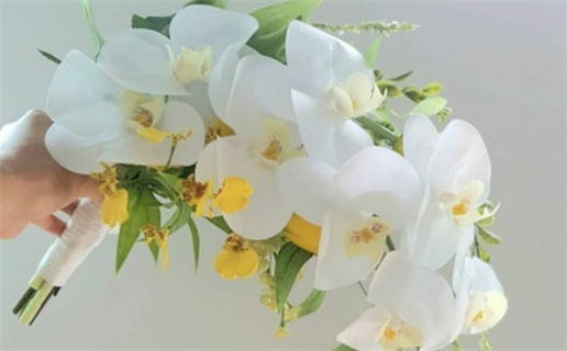 天上火命的人缺什么解读与建议