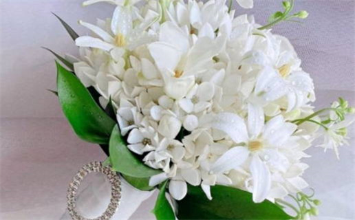 1981年五行属什么命_1981年鸡五行属什么命