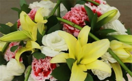 1957年属鸡的是什么命(1957年属鸡的是什么命金木水火土)