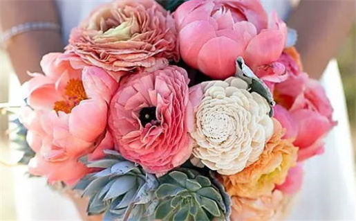 属牛和属鼠的财位在哪(属牛和属鼠的财位在哪个位置)