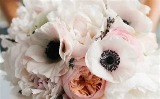 腊月初四出生的命理解析与运势分析