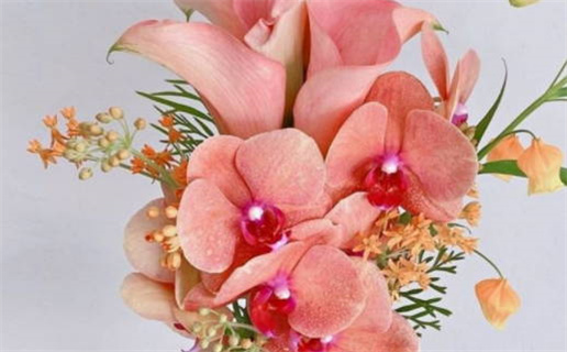 5月份搬家的黄道吉日_5月份搬家的黄道吉日查询