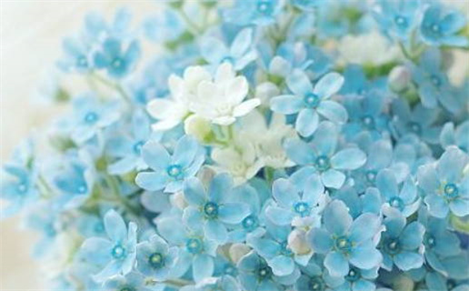 1987年11月属兔命理解析揭秘好运与挑战