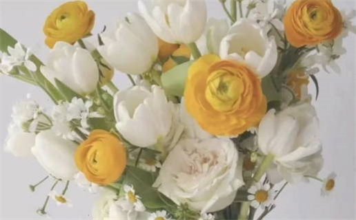 生肖猪女与生肖鼠男的完美爱情搭配解析