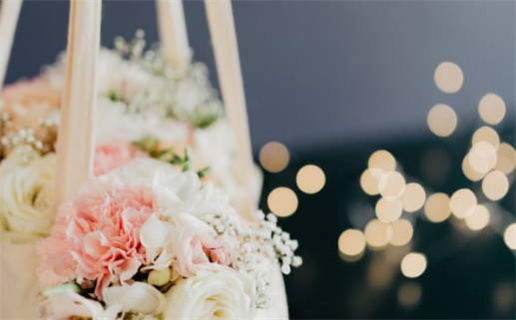 李思伟讲十二生肖鼠_李思伟讲十二生肖鼠的故事