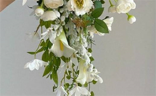 2026年2月份黄道吉日(2026年2月份黄道吉日农历)