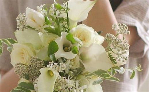 李姓女孩名字大全(李姓女孩名字大全免费)