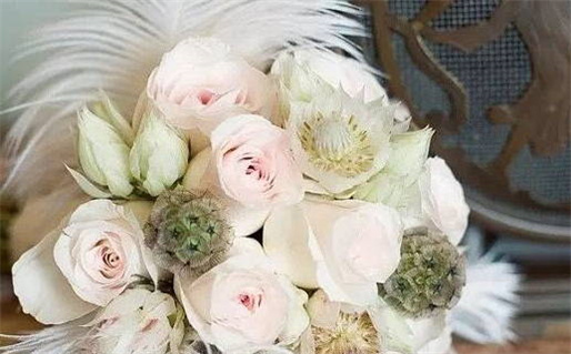 02年的马是什么命(02年的马是什么命 五行属什么)