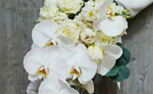 1982年属狗是什么命女_1982年属狗是什么命女婚姻