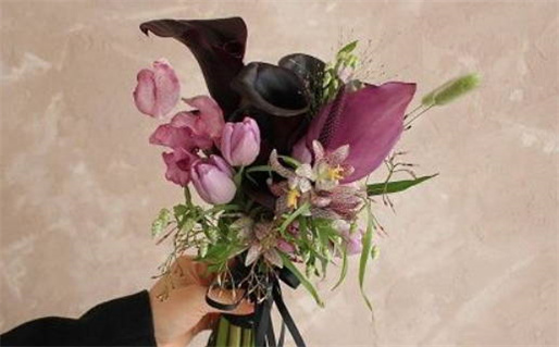 五斗五簸箕命运解析及其影响因素