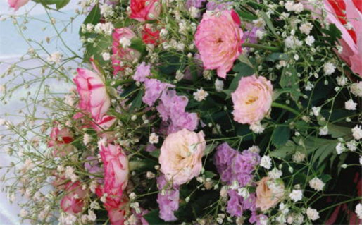 一月黄道吉日最佳选择详解