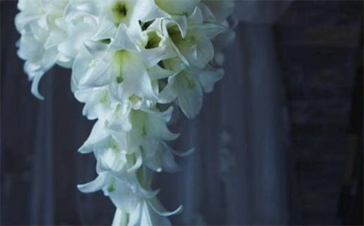 1984年出生的人命运解析与人生运势揭秘