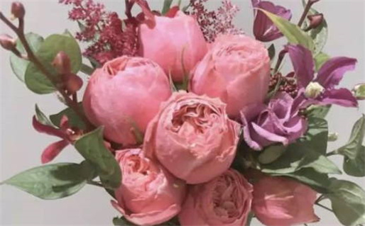 81年出生的是什么命(81年出生的是什么命缺什么)