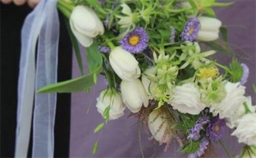 2003年羊的命运解析及性格特点揭秘