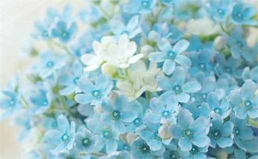 如何算五行属什么命