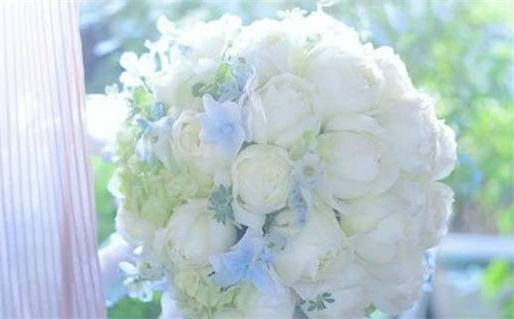 1997五行属什么命(1997年五行属什么命)