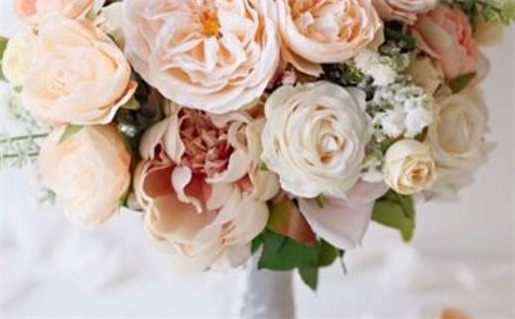 属鼠七月份运势如何(属鼠七月份运势如何呢)