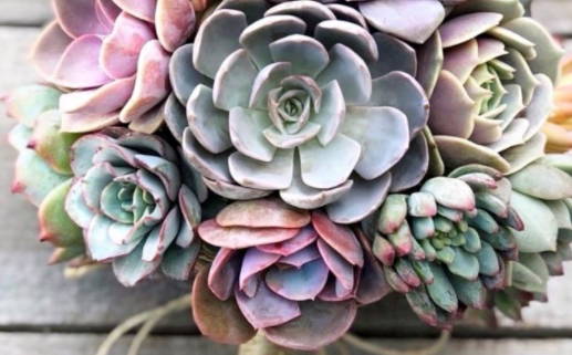 1991路旁土命解析缺什么及提升方法建议