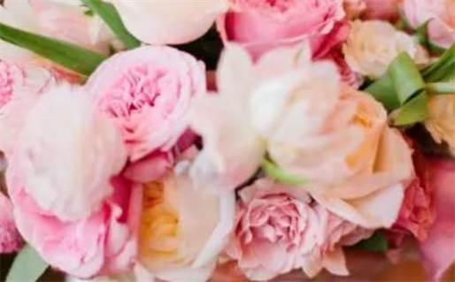 1995年属猪是什么命(1995年属猪是什么命金木水火土)