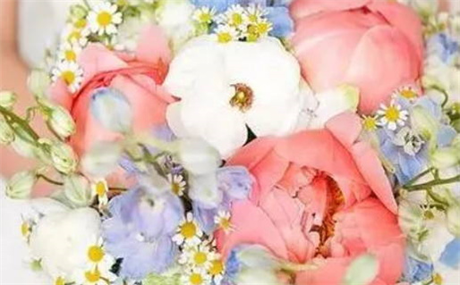 2007年是什么命年(2007年是什么命的人)