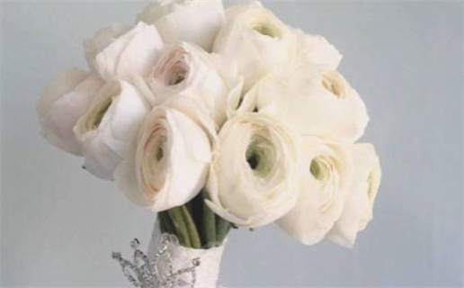 2016年本命年带什么饰物好_2016年本命年带什么饰物好运