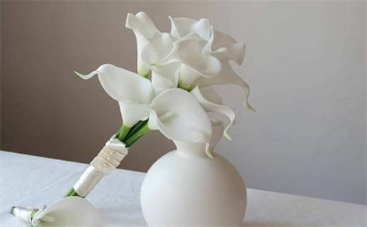 太阳火命的人适合做什么生意(太阳火命的人适合做什么生意命男怎么样)