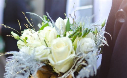 2013年属什么生肖啥命_2013年属什么生肖是什么命