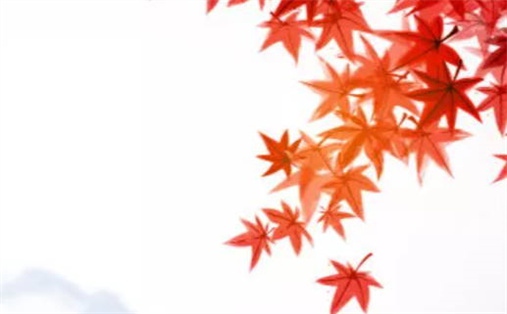 今天万年历2027年08月26日兴工的好日子,动土吉日